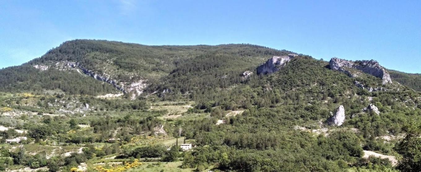 Le Mas Des Fontettes, Gite 14 Personnes, Piscine Chauffee, Propriete 5Ha, Barbecue Sahune Kültér fotó